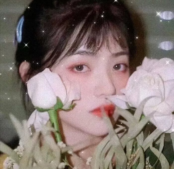 战地花开
